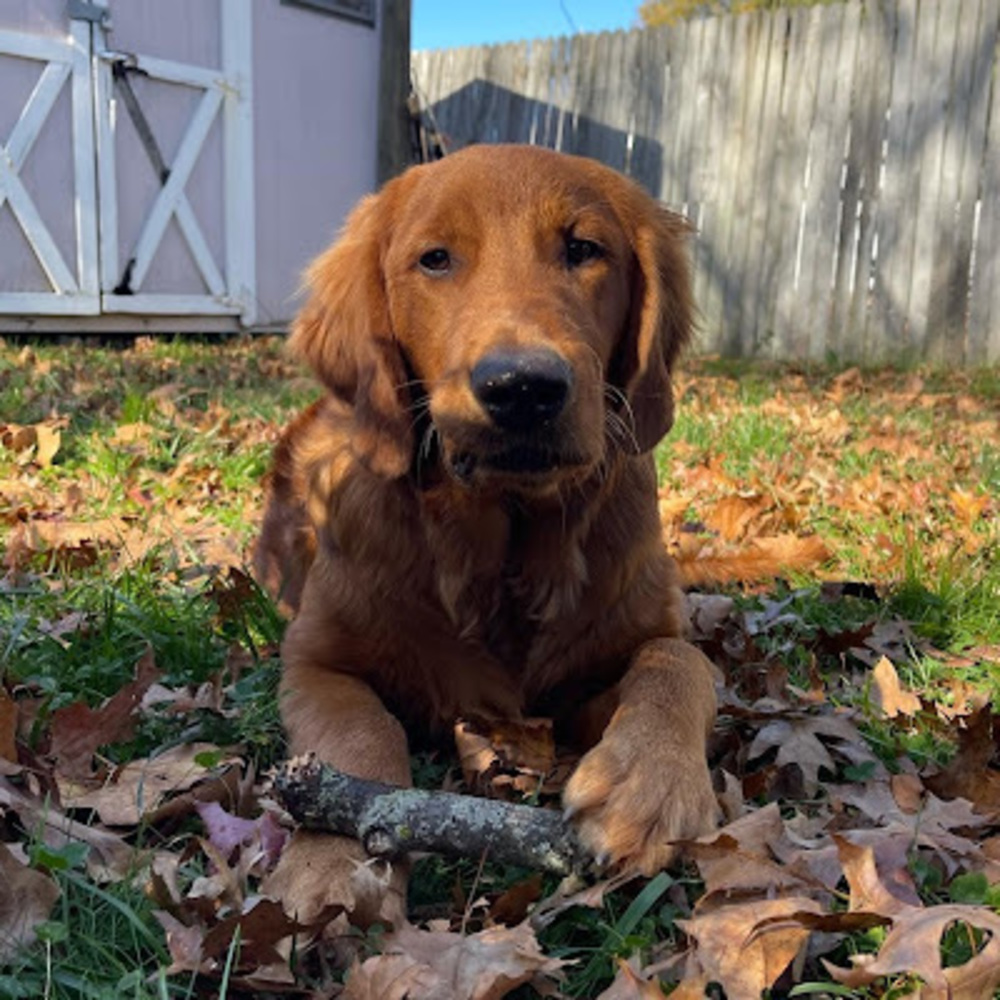 Meet your Posher, Madison